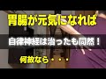 自律神経を改善するには胃腸の働きを改善させる事は一番重要事項です。