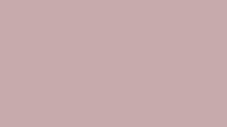 12 Hours of Pure Pinkish Grey (#C8ACA9) 4K Solid Color Screen [No Ads]