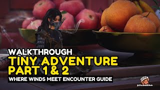 WALKTHROUGH Tiny Adventure Encounter Part 1 & 2 - Where Winds Meet