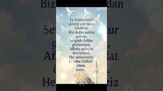 İlahi & Zikir - Sordum Beyaz Güvercine