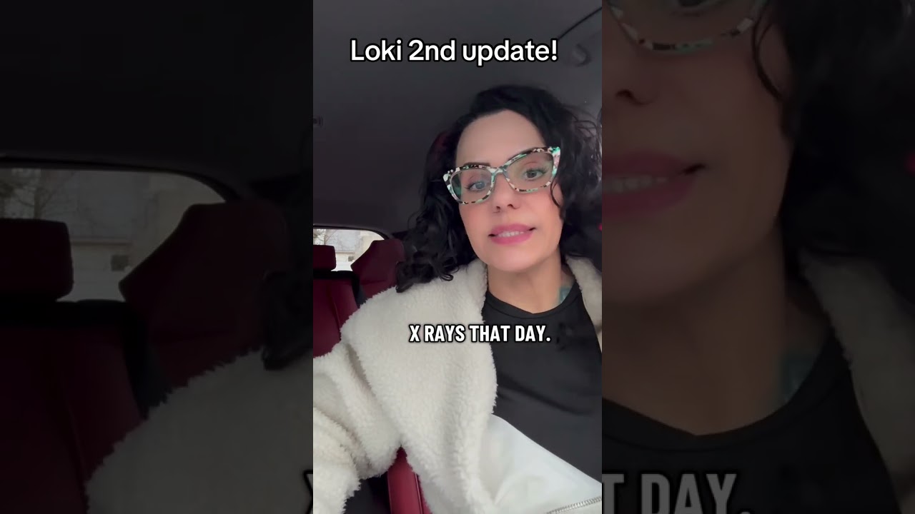 У Локи запланирована вторая операция по коррекции зубов 20.01.2026.