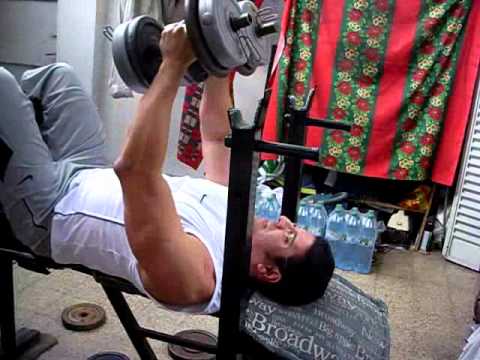 RUTINAS DE GYM AUMENTO DE MASA MUSCULAR - GYM WORKOUTS - panzarotti