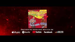 Mosaico Guanaco #1 / Grupo Guanaco Sólido®