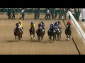 Race 5 - The Garhoud Sprint Sponsored By Lincoln MKX