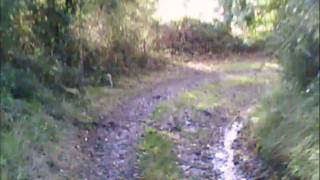 BTT Bajada de la Bombilla HD