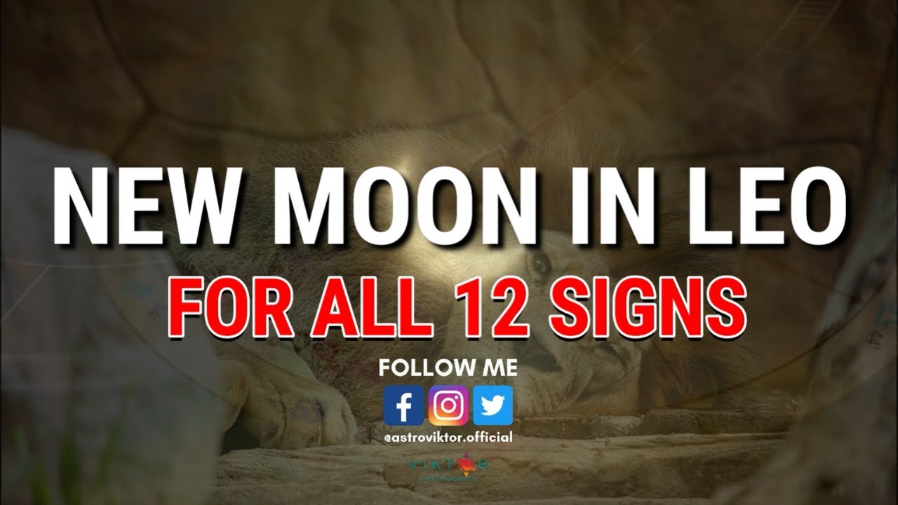 New Moon in Leo | 16 August 2023 | Prediction for all 12 zodiac signs ...