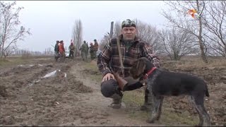 Natură şi aventură: Vânătoare de iepuri şi fazani