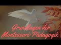 Grundlagen der Montessori Pädagogik