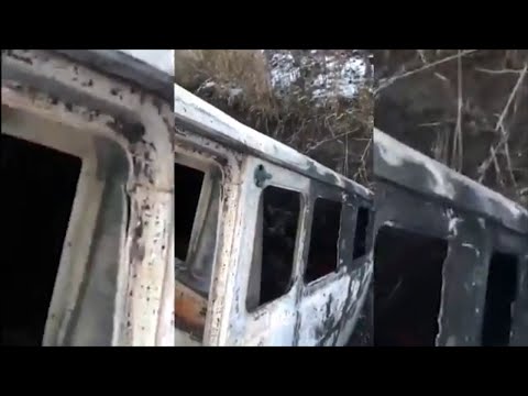 Самая новогодняя контрабанда 