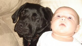 Woman Tells Her Sister Not To Have A Puppy When She Has A Baby, But She Doesnt Listen