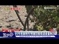熱浪逼死90年老藤! 希臘招牌白葡萄酒產量暴跌8成｜TVBS新聞  @TVBSNEWS01 ​