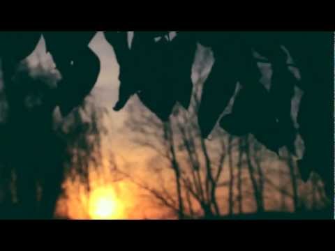 her sinking sun - coma cinema