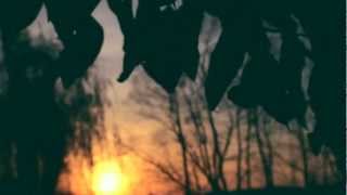 Celebrity her sinking sun - coma cinema Wealth