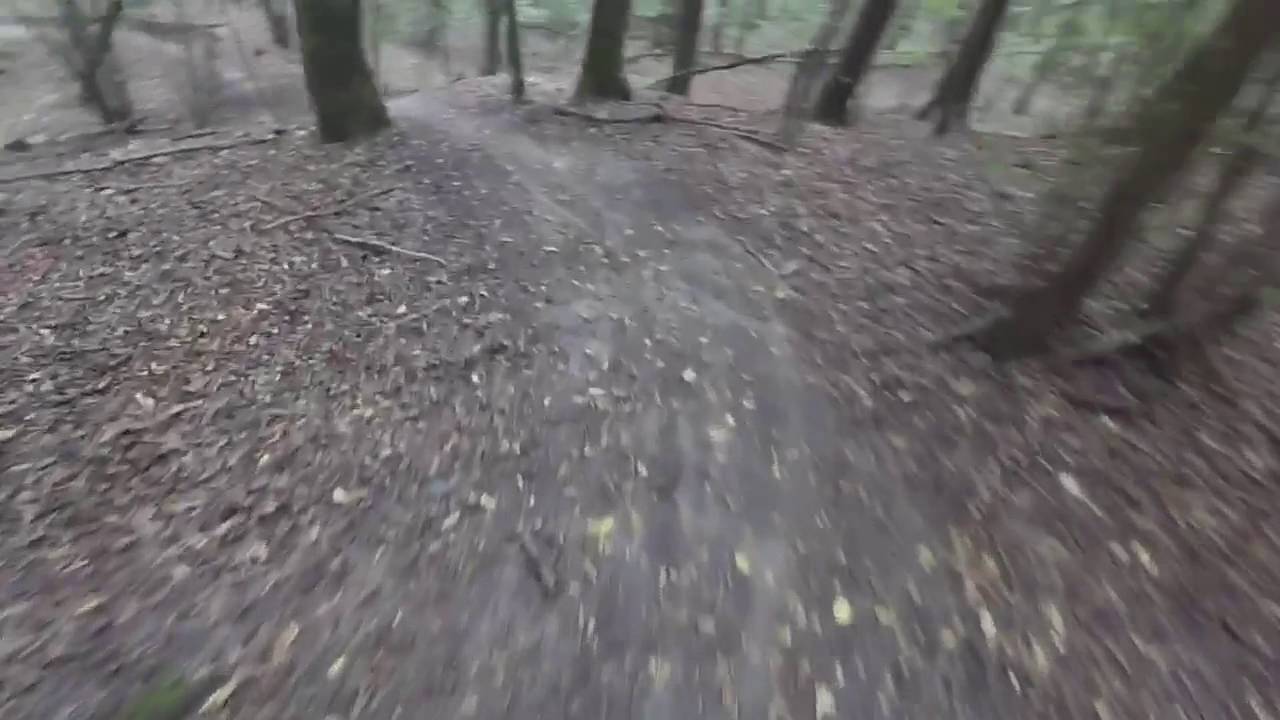 Trail in Oberhaid Mondraker E-Vantage