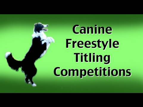 puppy paradise Canine Freestyle Titling Competitions