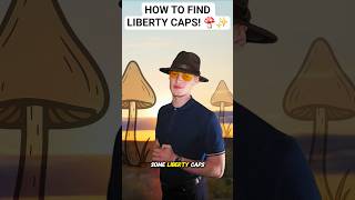 How to find liberty cap mushrooms! 🍄✨️🫠