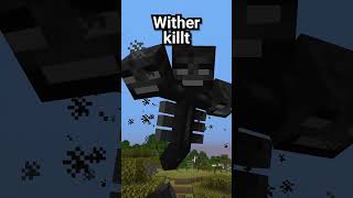 Baby Wither in Minecraft 🤗