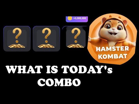 Today hamster COMBO CARD 🫡💸