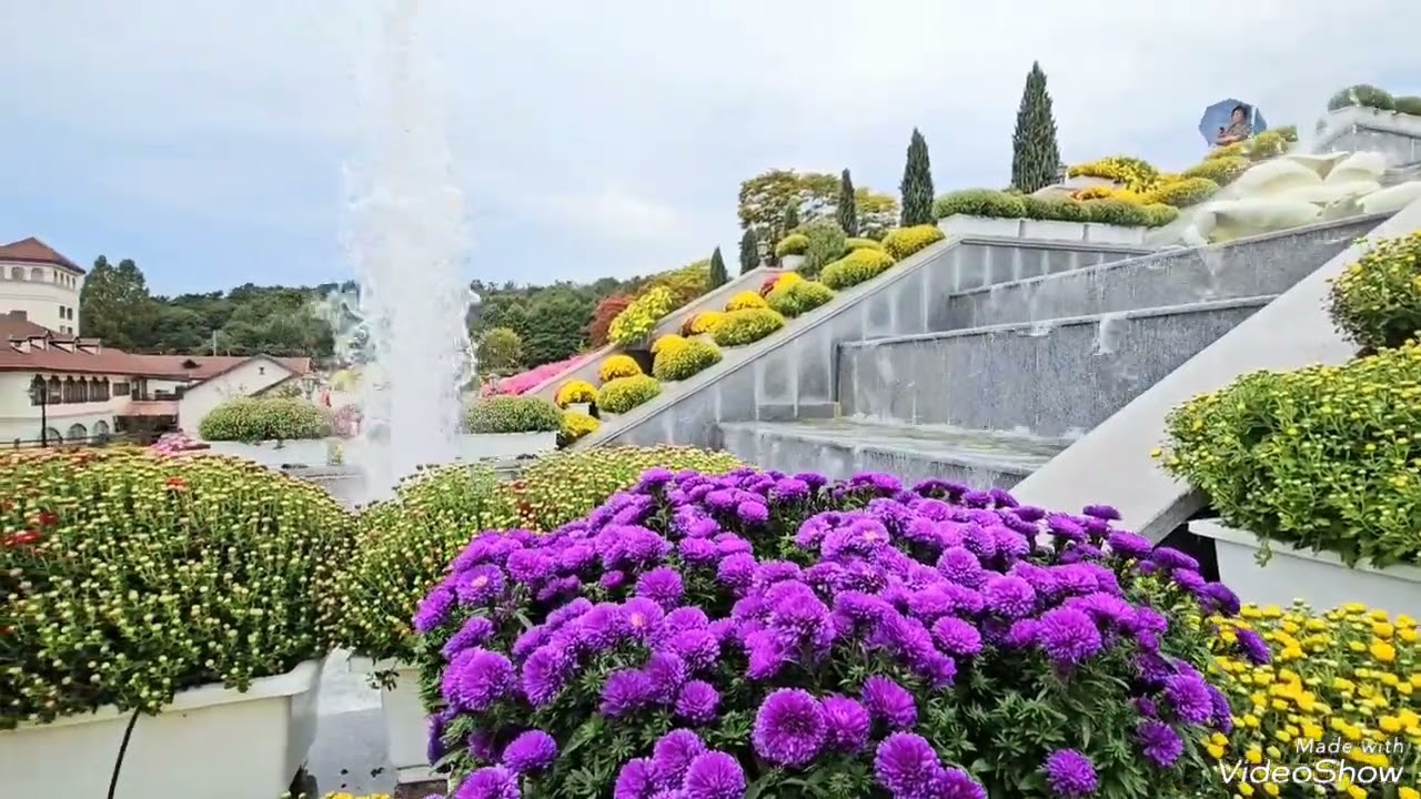 임실N치즈축제 (10.6~10.9)