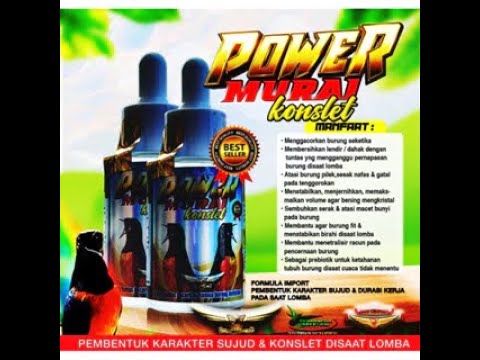 PROMO VITAMIN KICAU