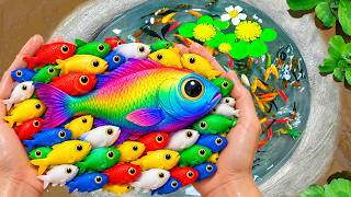 Catch Freshwater Aquarium Fish in Small Pond Baby Turtles, Crayfish, Betta, Pufferfish, Nemo, Frog