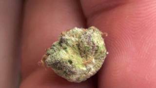 PURE OG KUSH