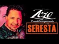 Zezo 2018 - O MELHOR DA SERESTA