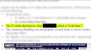 31 Sloths Died At Sloth World Orlando Warehouse Fwc Report