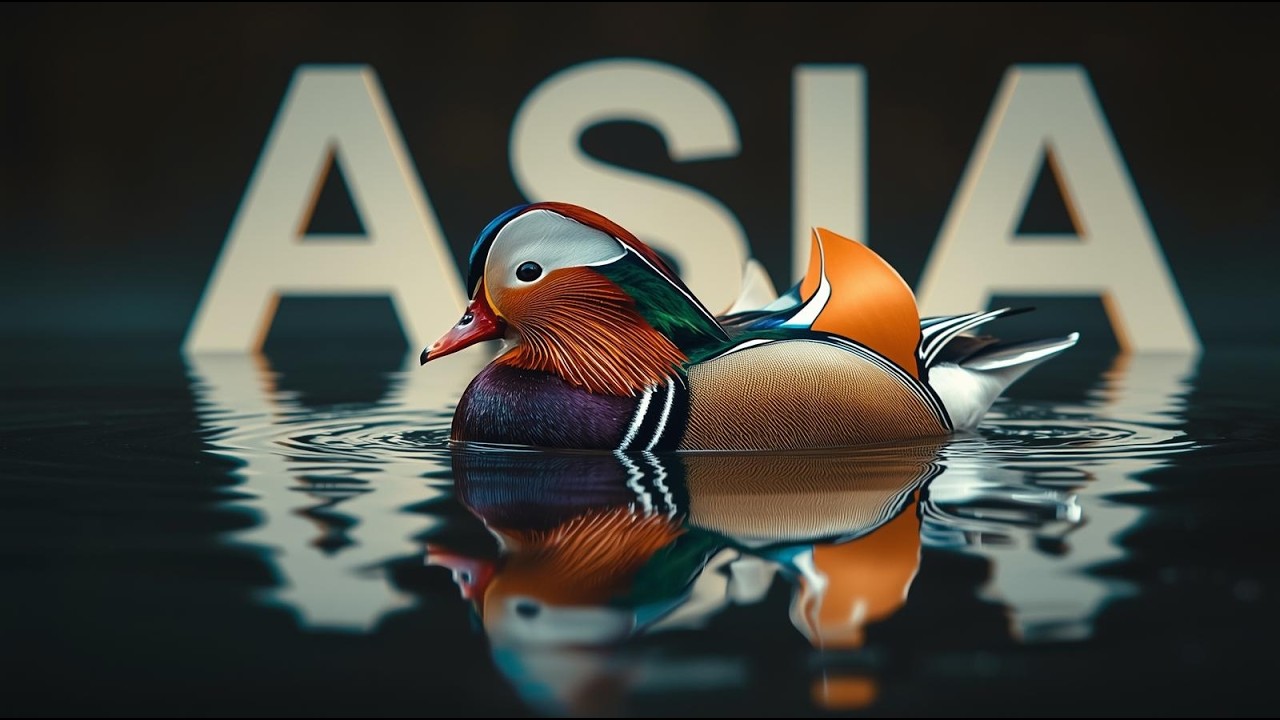 Most Beautiful Birds of Asia |ASIA 4K Cinematic Documentary by Amazing Chirping