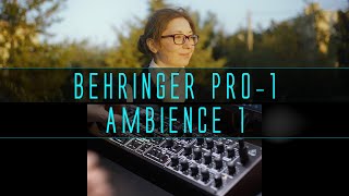 Ambience 1 (Behringer Pro-1 Ambient Demo)
