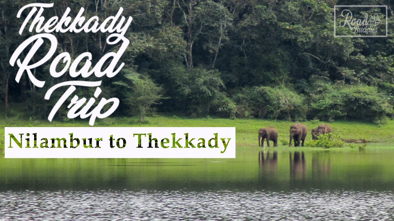 Thekkady Road Trip | Nilambur to Thekkady | #RB004