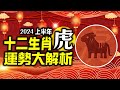 林海陽 準！準！準！2024生肖「虎」上半年運勢詳解..快看.！！