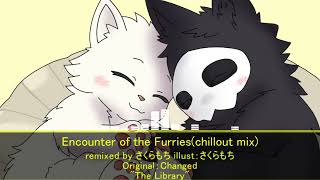 [Changed "The Library" Remix]Encounter of the Furries(chillout mix)