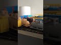 N Scale Shorty Beercan Tankcar and Soft Sided Gondola (Amsterdam) coming next! #3dprinter #nscale
