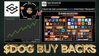 Dog Buy Back Model Changes Everything Sats Terminal
