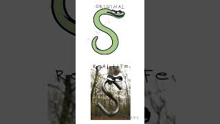 alphabet lore in real life part 1