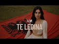 AM TE LEDINA Remix AM TE LEDINA Remix
