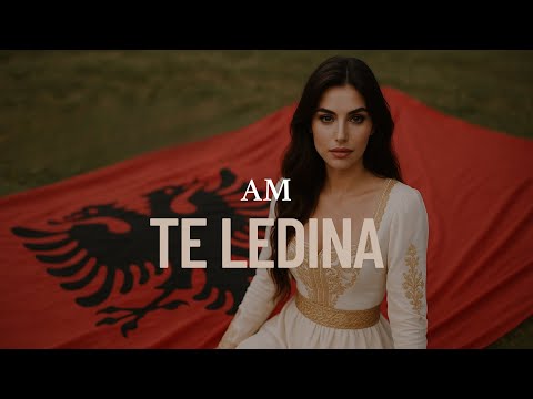 AM TE LEDINA Remix