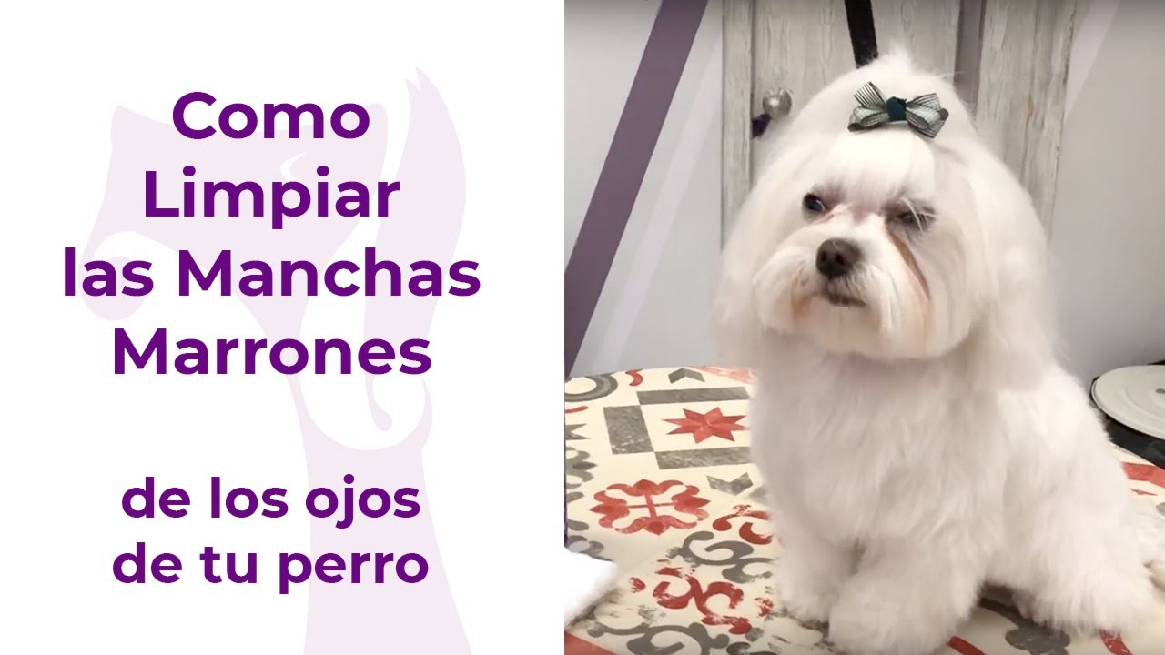 Clinica veterinaria Veterizonia