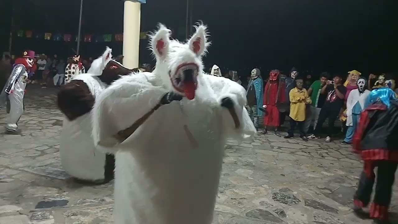 Zozocolco de Guerrero, 24 de diciembre del año 2024. 