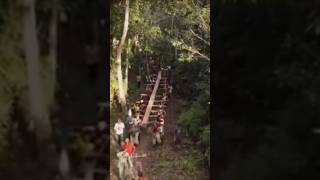 pesta babi: full documenter Papua #fyp #viral