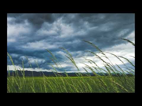 صوت الرياح بدون موسيقى للاسترخاء والنوم اصوات الطبيعة Wind Sound 