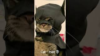 batman ❌ catman ✔️ #gujaratimeme #trending #memes #memesdaily #trendingshorts #trendingshorts