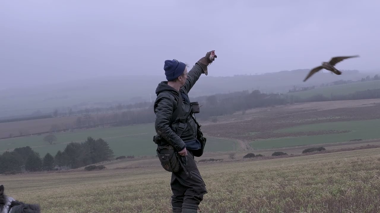 Is your love in vain?, Bob Dylan cover