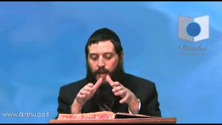הדף היומי - מסכת שקלים דף ט"ו