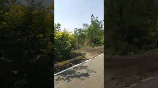 #music #song #love #travel #viral #travel #roody #######telugu ###