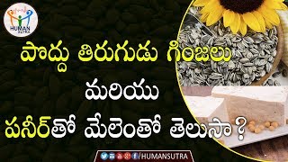 Health Benefits Of Sun Flower Seeds And Paneer Soya Milk | Health Tips In Telugu | Human Sutra