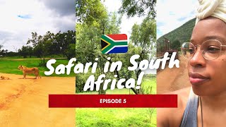 🇿🇦 Safari in South Africa | 💁🏽♀️ American ✈️ Travel in Johannesburg