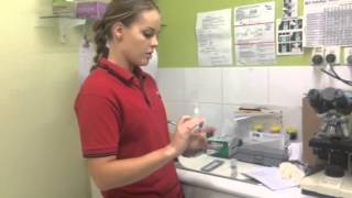 PCV and Total Protein Determination Part A