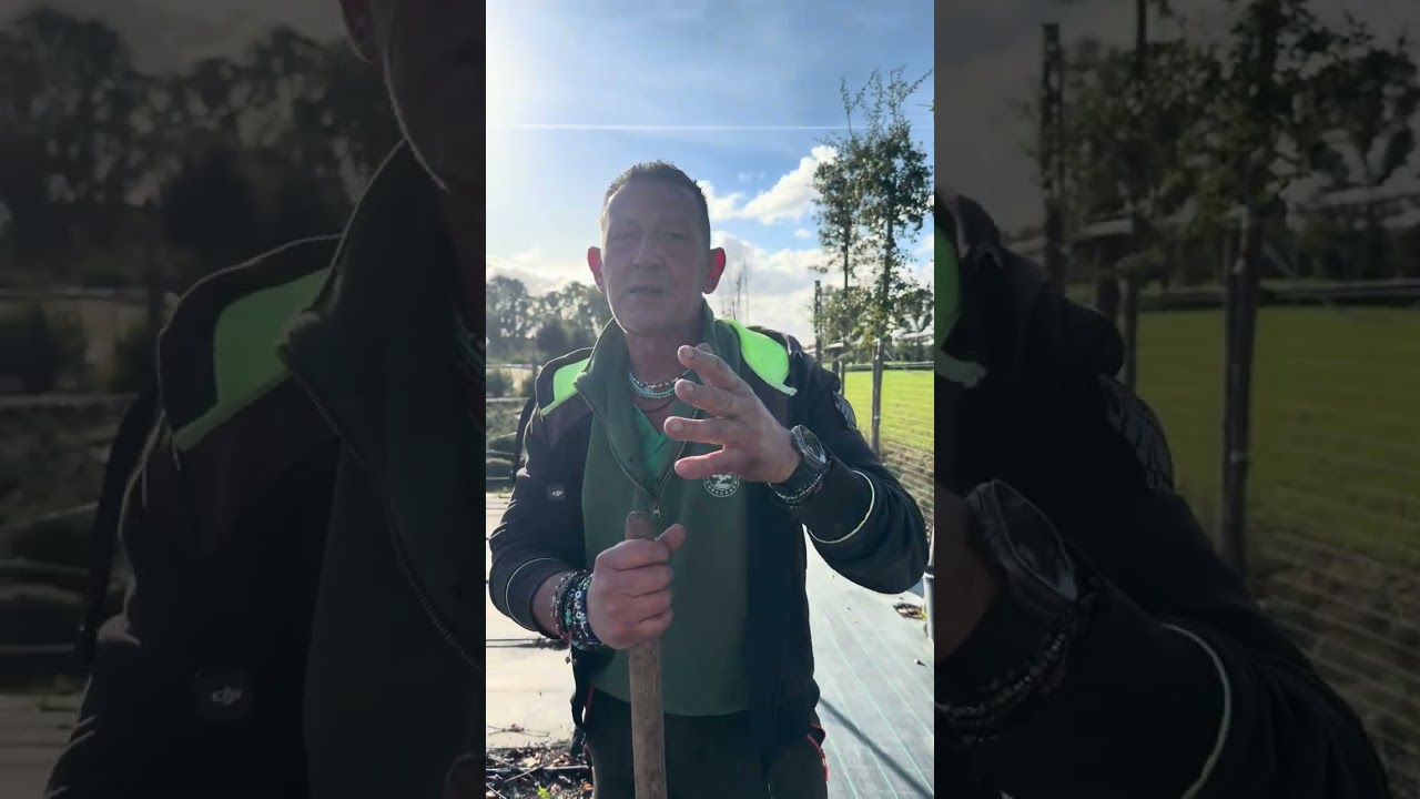 @GiorgioRostellato Siamo bastoni e sostegno per le nuove generazioni 